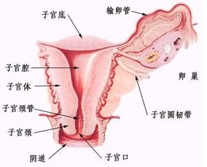 女性宫腔粘连的症状有哪些？